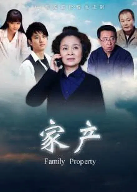 【国产剧】家产